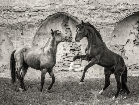  by artist Claire Porter